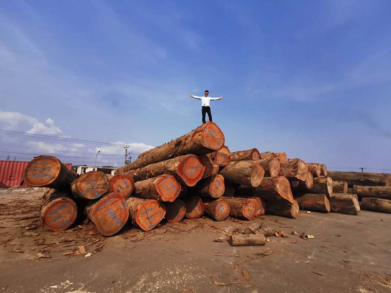 Création dune usine de placage pour le visage dOkume au Gabon