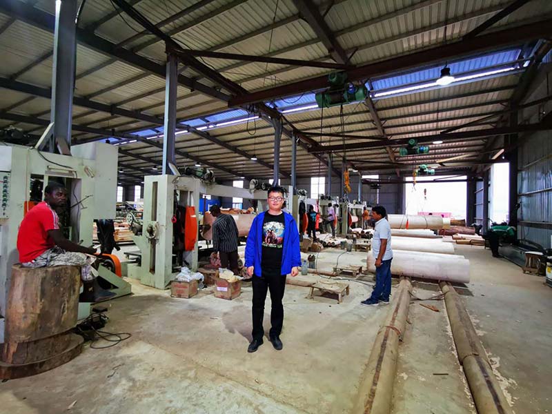 Création dune usine de placage pour le visage dOkume au Gabon