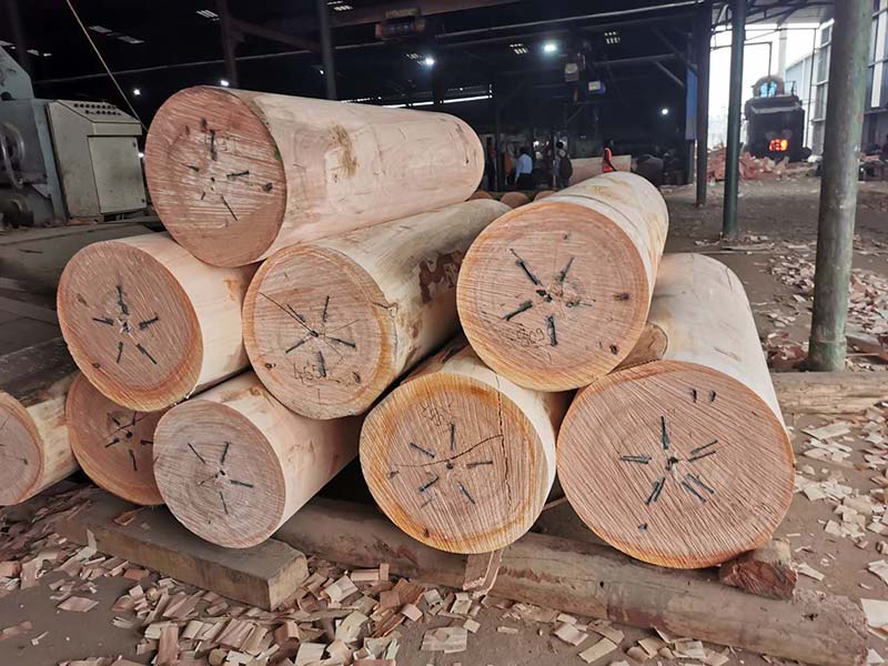 Création dune usine de placage pour le visage dOkume au Gabon