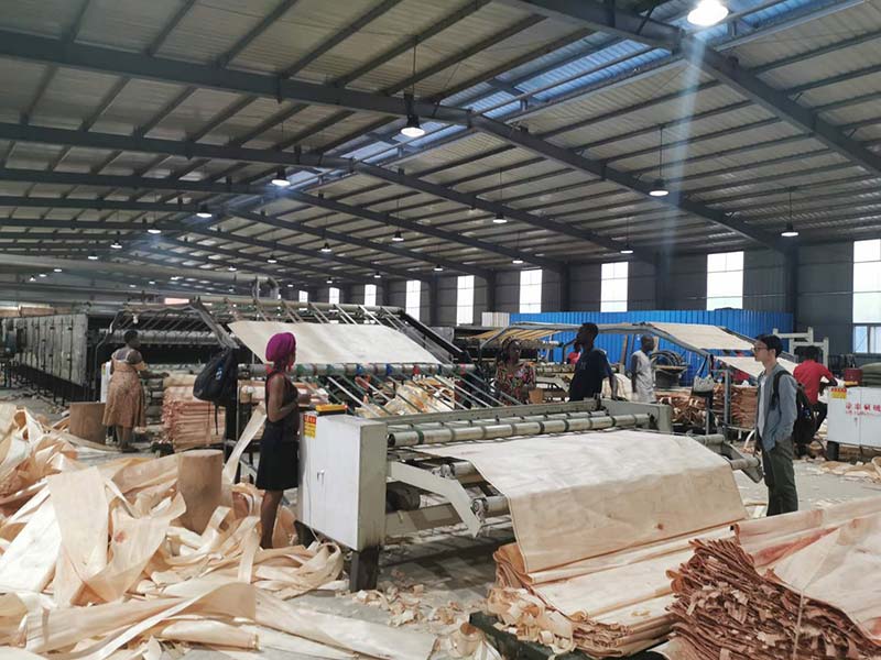 Création dune usine de placage pour le visage dOkume au Gabon