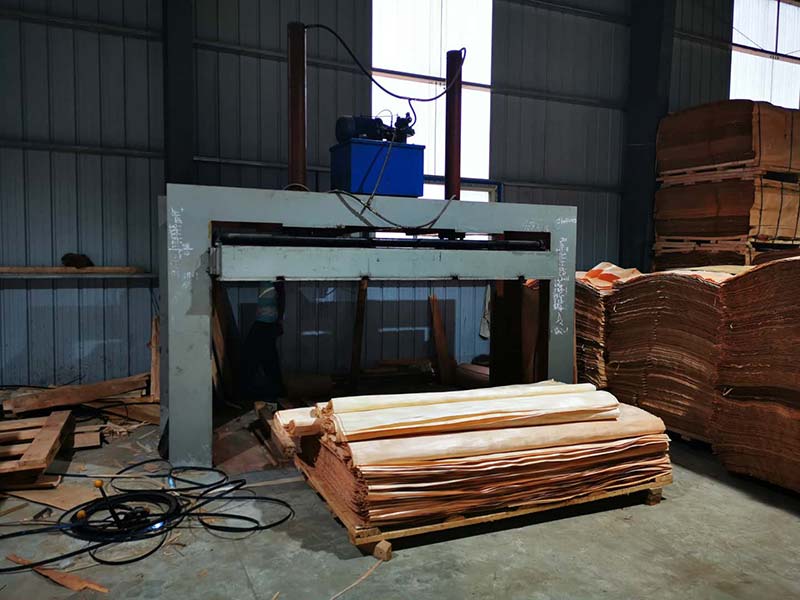 Création dune usine de placage pour le visage dOkume au Gabon