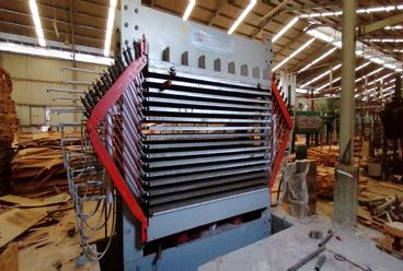 Machine de séchage de placage de type presse à chaud / sécheuse de presse à chaud solide / machine de séchage de placage fonctionnant bien dans l'usine du clien